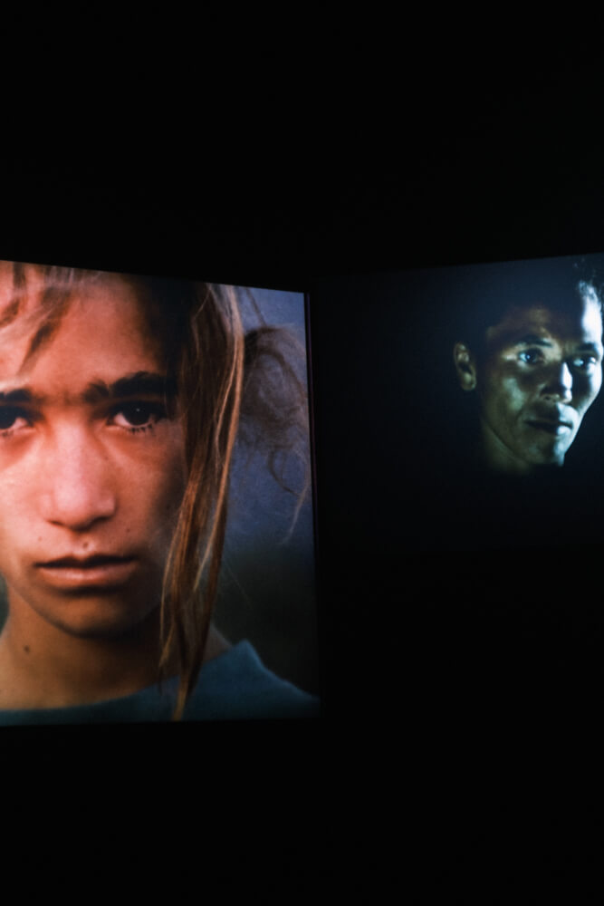 ペドロコスタ作品