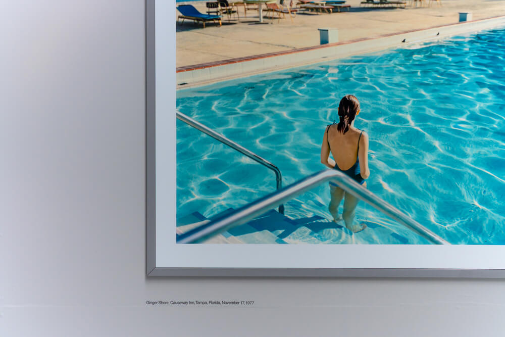 スティーブンショアの写真