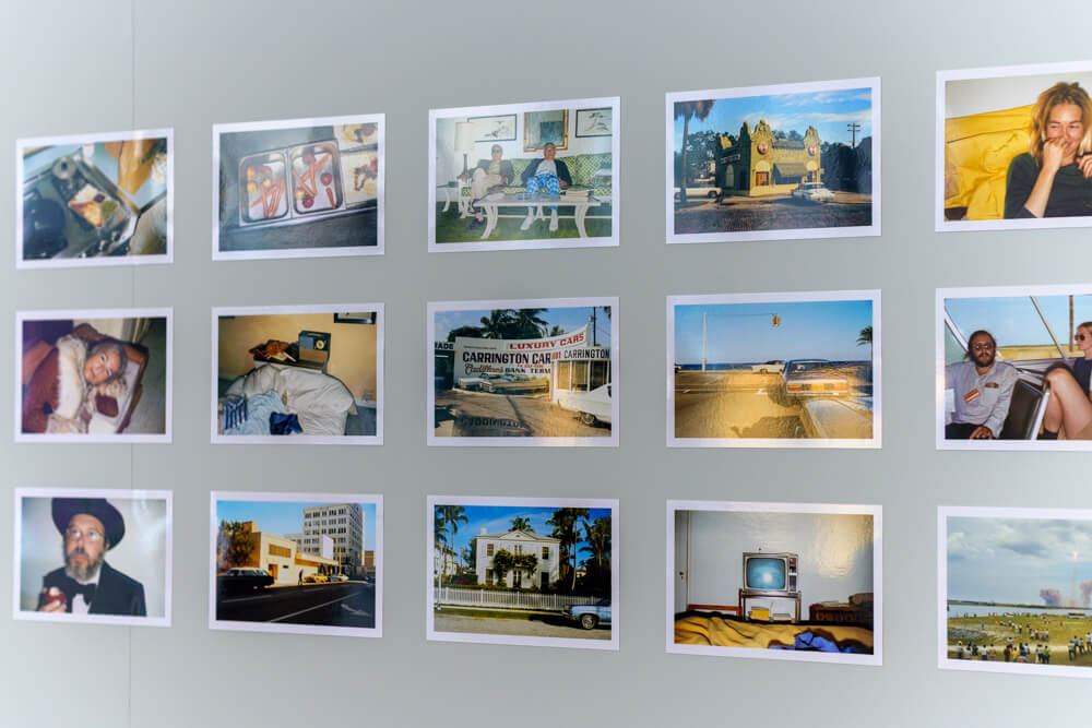 スティーブンショアの写真