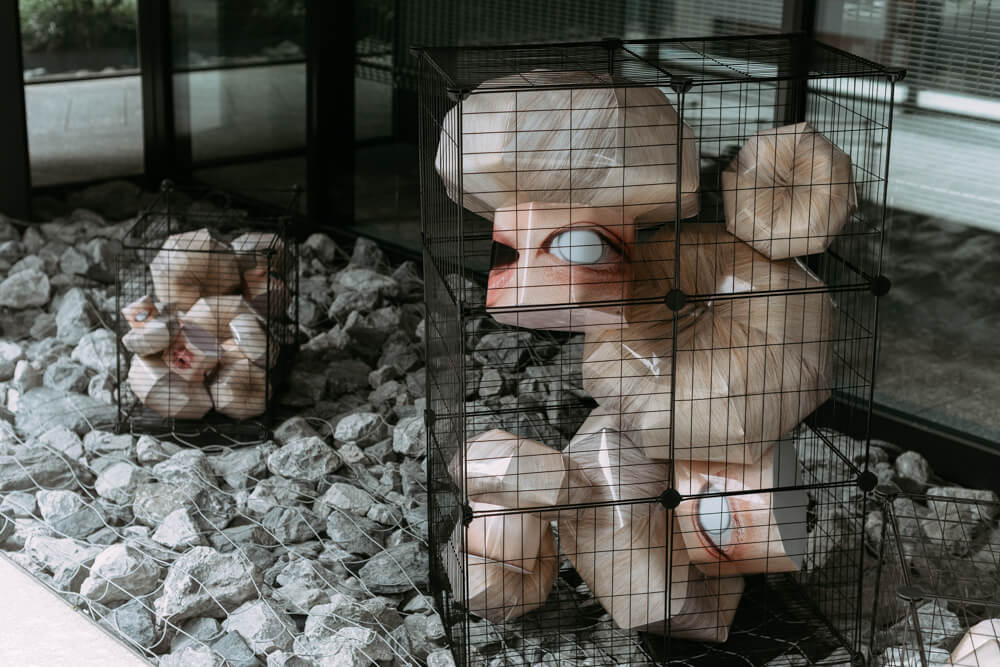 トウ・セイヨの写真