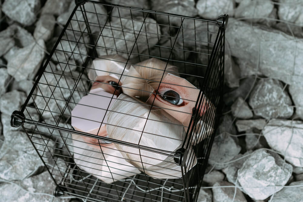 トウ・セイヨの写真