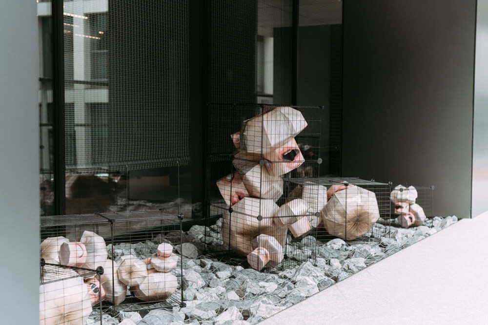 トウ・セイヨの写真