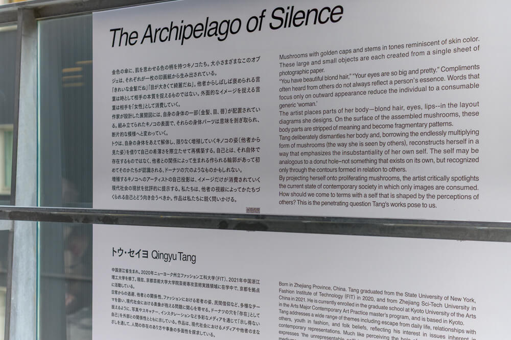 トウ・セイヨの写真