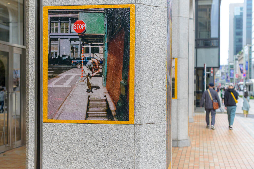 メリッサシュリークの写真