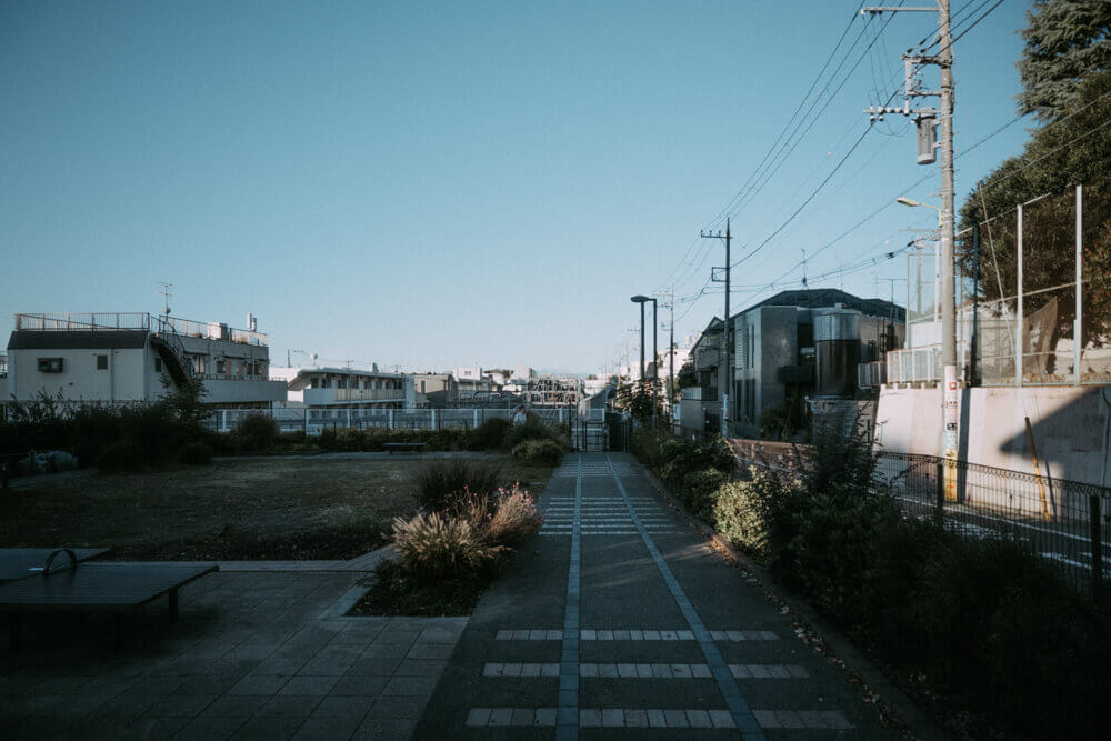 公園から望む富士山