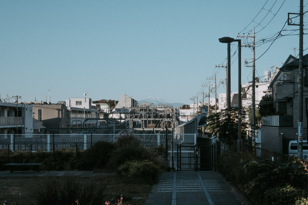 公園から望む富士山