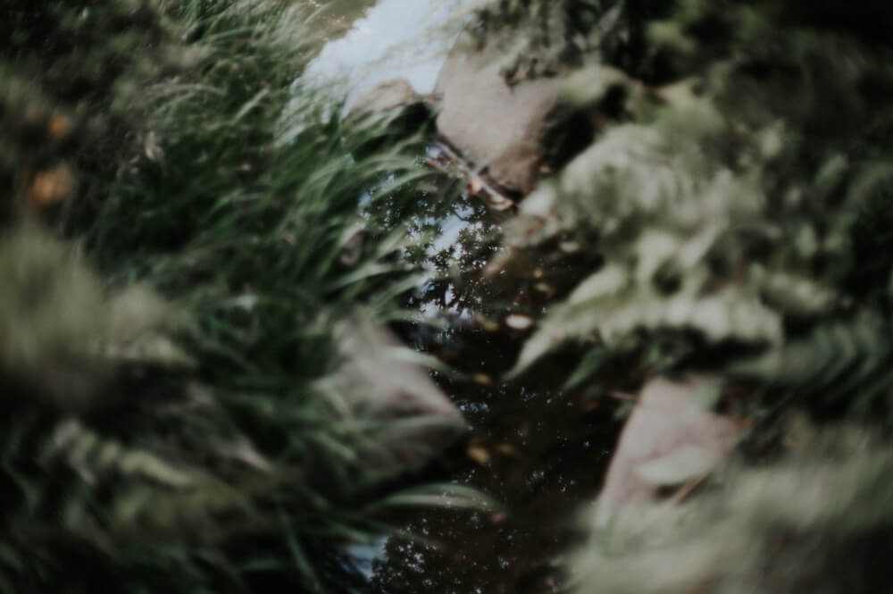 庭園美術館の小川