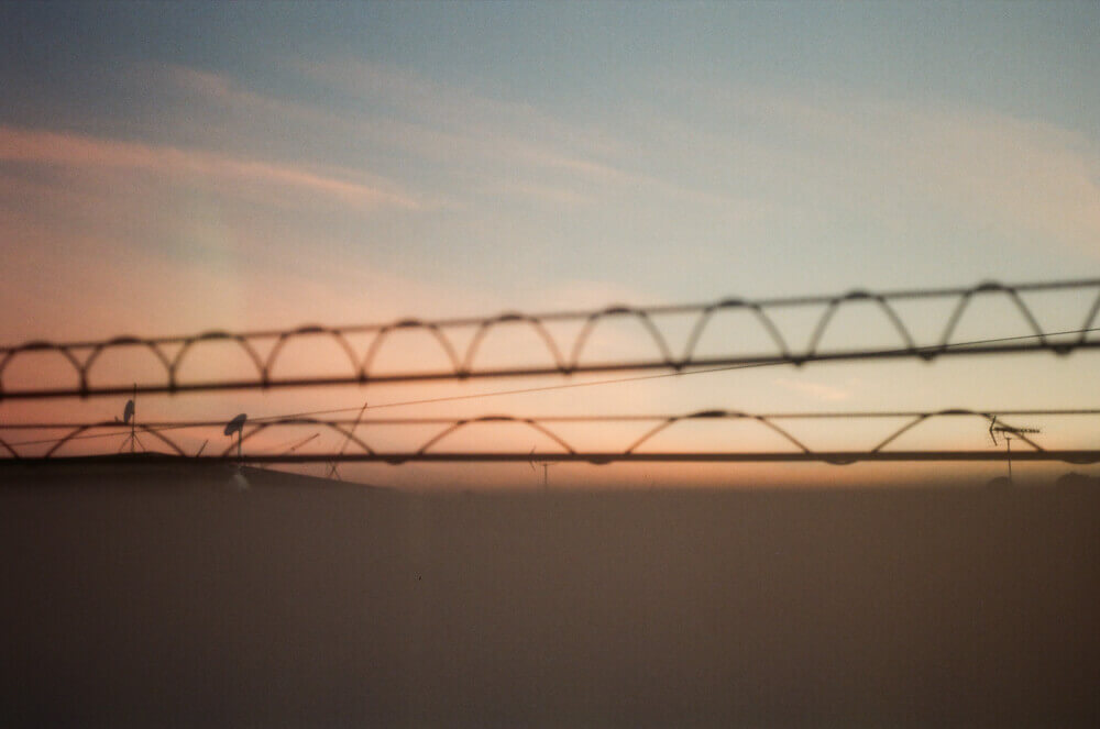 窓から見る朝の光景