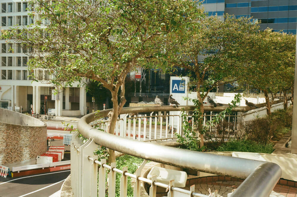 新宿駅西口ビッグカメラ前