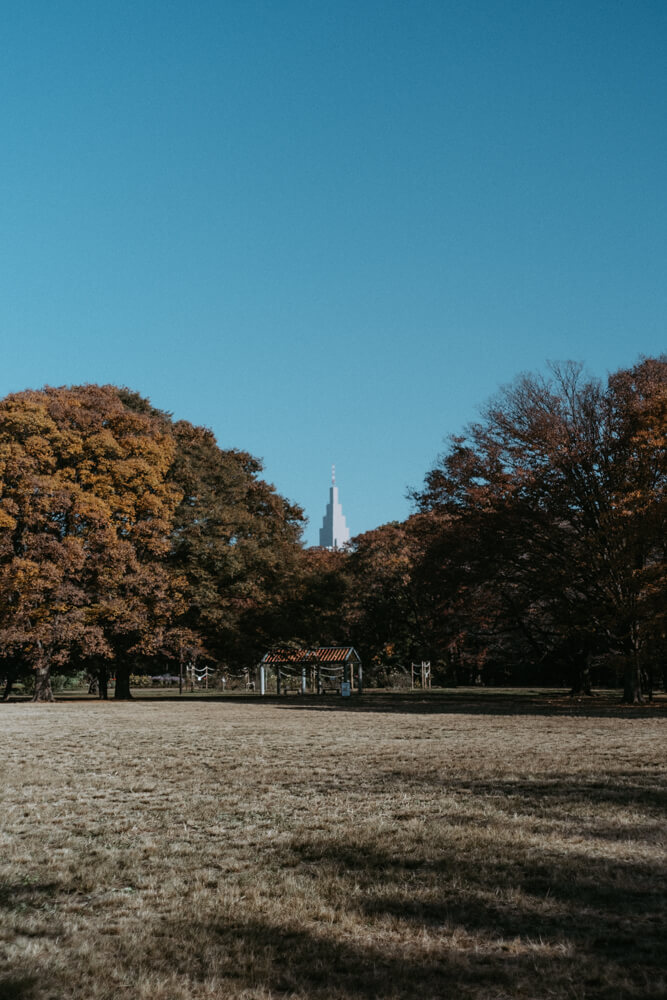 代々木公園