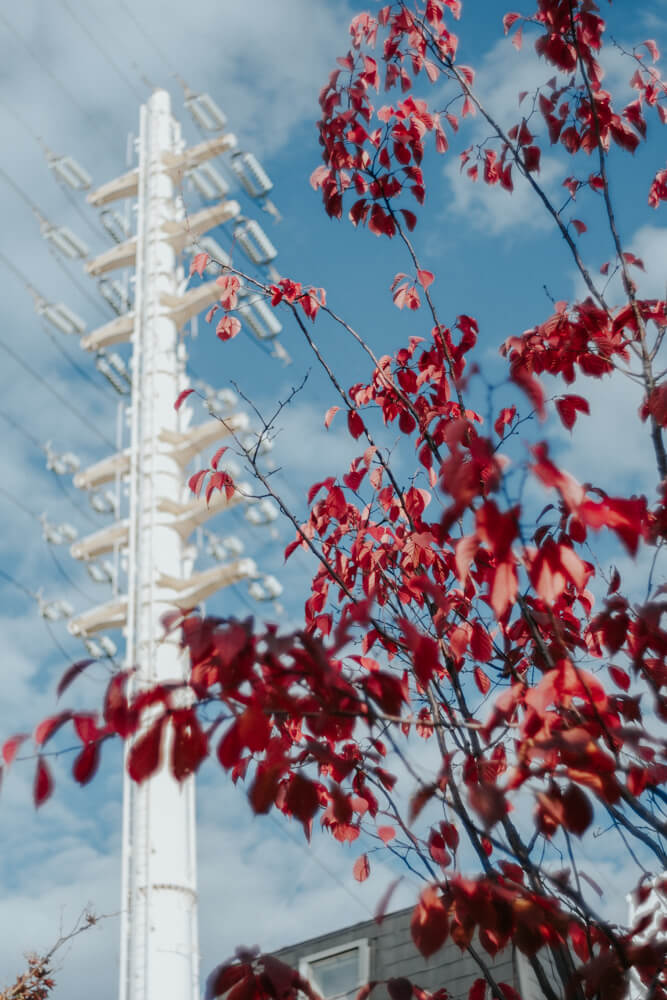 世田谷代田駅周辺の鉄塔
