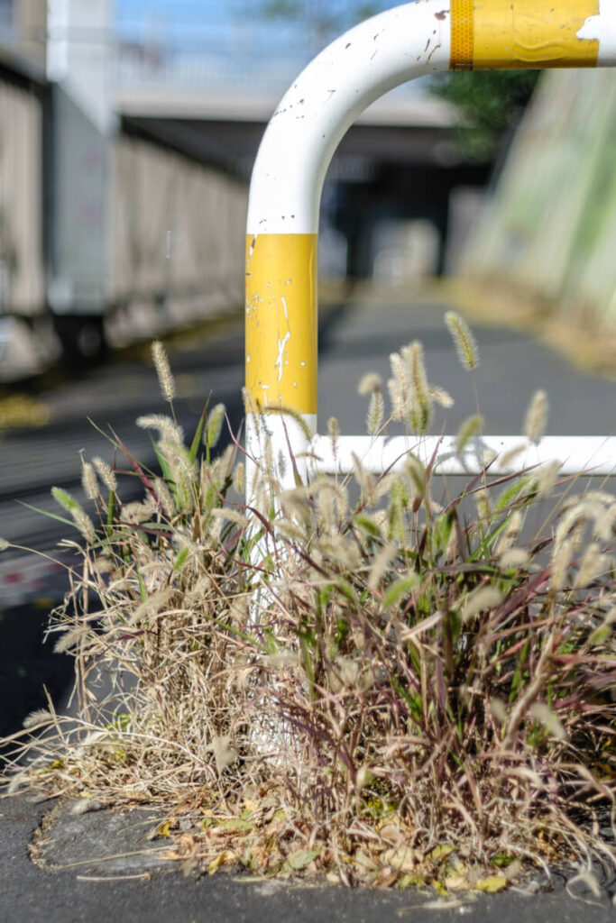 世田谷代田の道路の柵