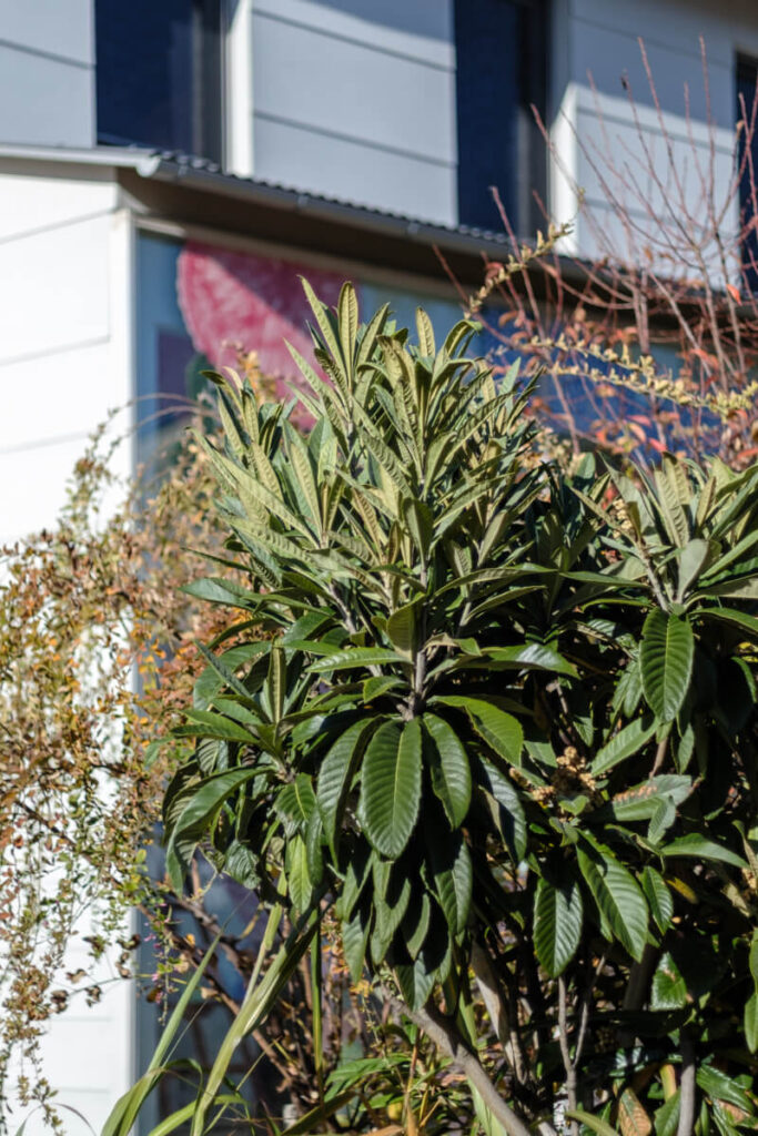 世田谷代田ボーナストラックの風景