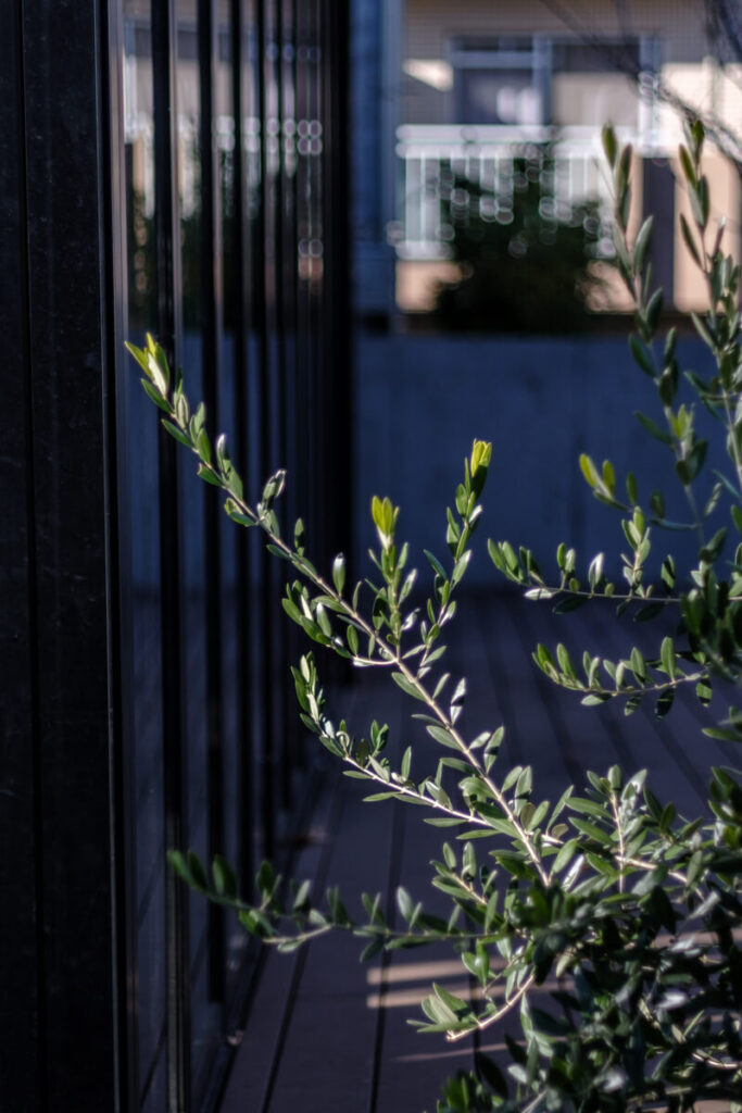 世田谷代田ボーナストラックの風景