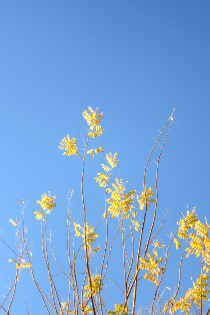 世田谷代田ボーナストラックの風景