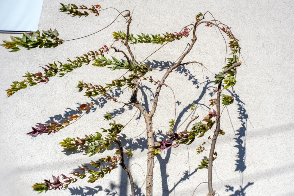 下北沢リローデッド