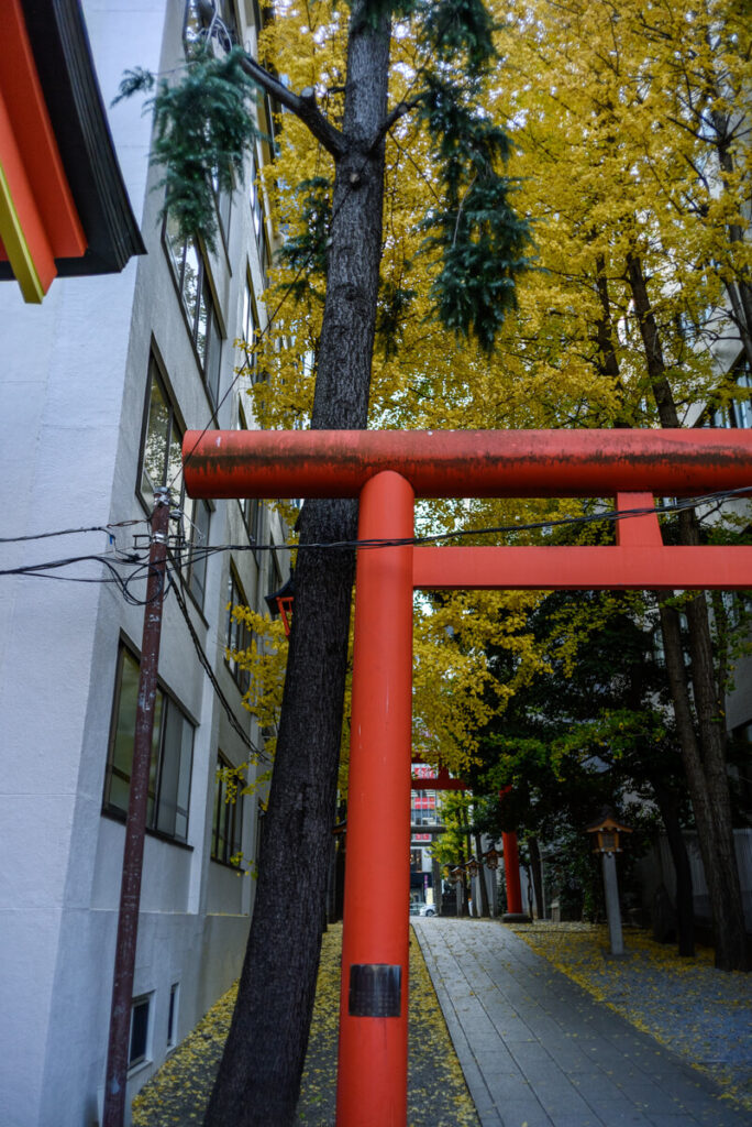 花園神社
