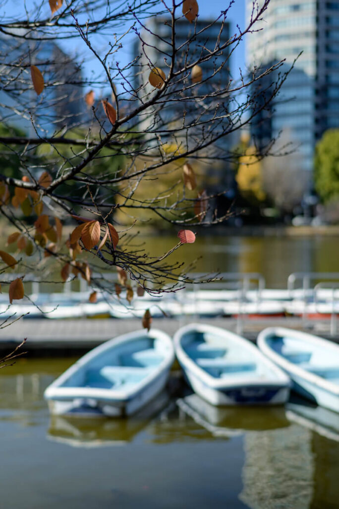 不忍池に浮かぶボート