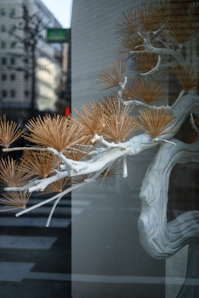 新宿1丁目のショーウインドー