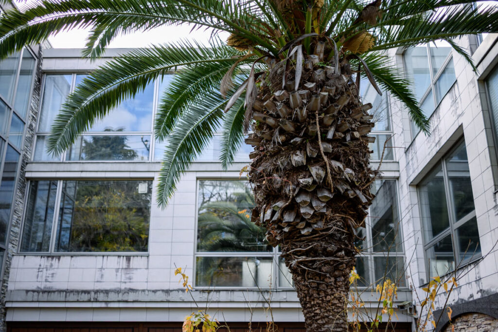 西郷山公園前の空き家