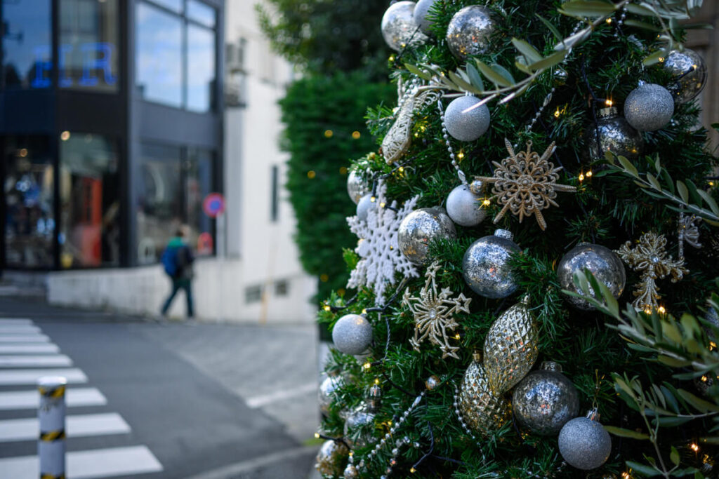 代官山旧山手通り沿いのSHOPのクリスマスツリー