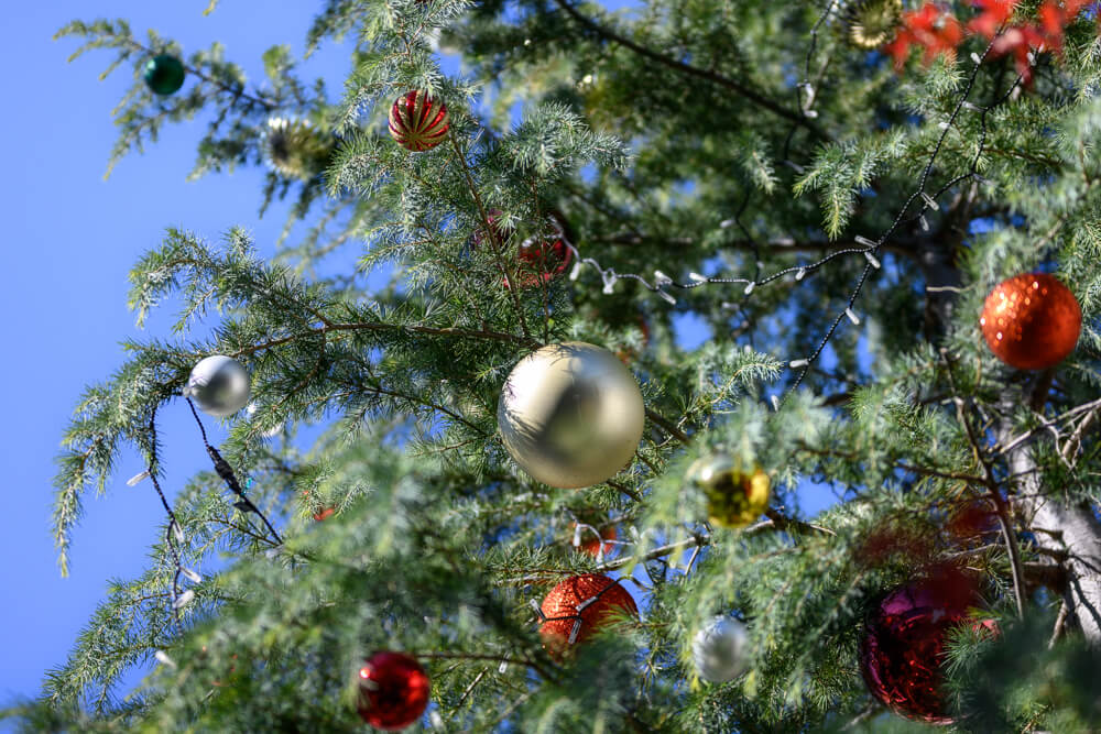 クリスマスツリー