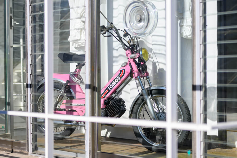 ショーケースのモペット