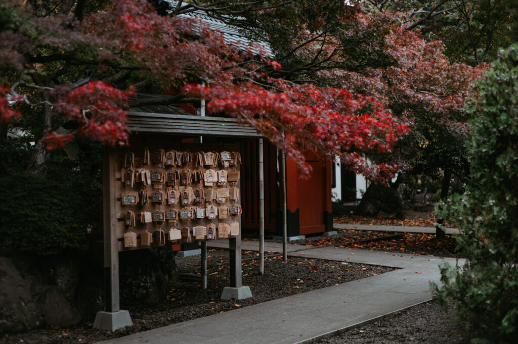 豪徳寺の境内の紅葉