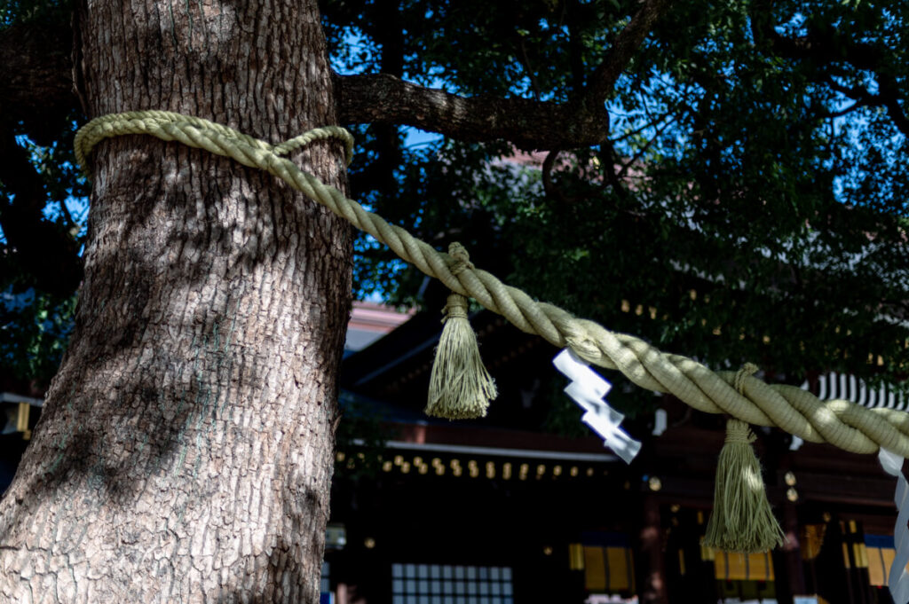 明治神宮の境内
