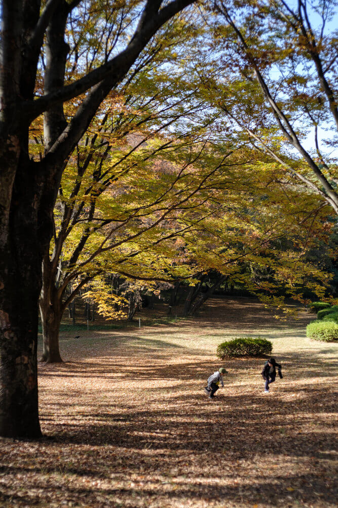 代々木公園で遊ぶ子供