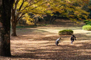 代々木公園で遊ぶ子供たち