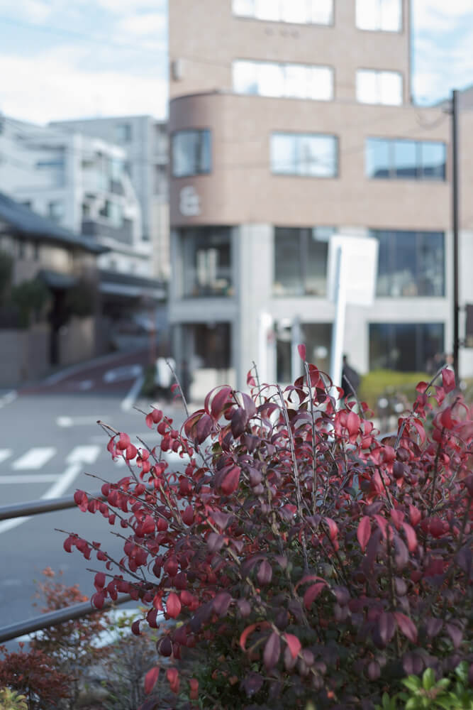 世田谷代田と下北沢の間