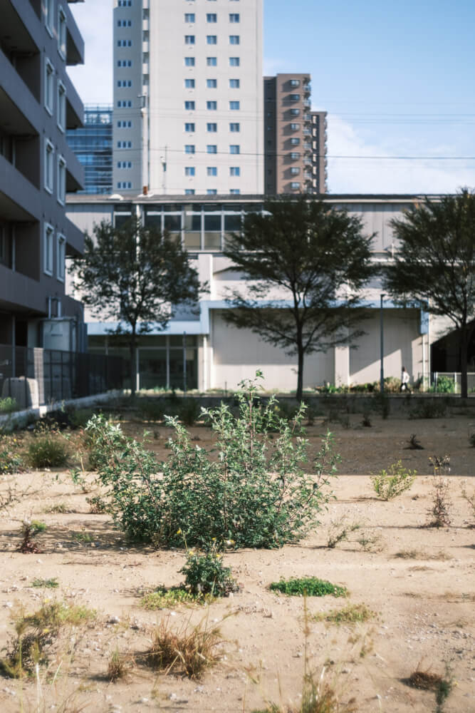 千葉みなと駅から歩いて数分の風景