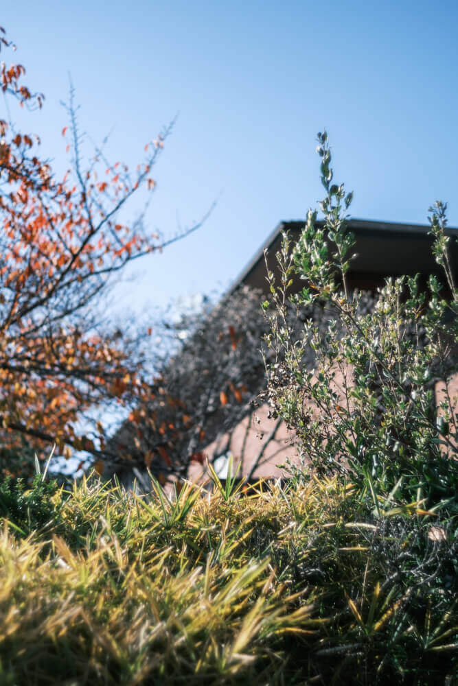 千葉県立美術館の屋根