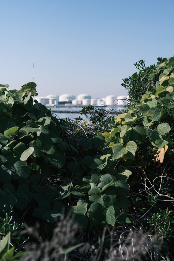 千葉ポートタワーの下の敷地から望む港