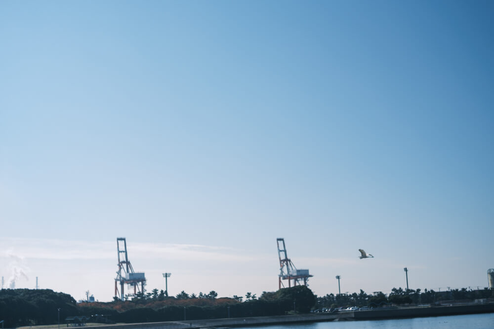 千葉ポートタワーの下の敷地から望む港