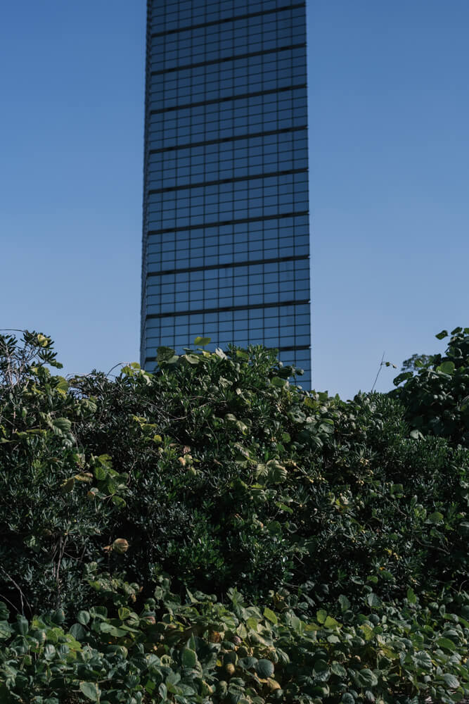 千葉ポートタワーの下の敷地