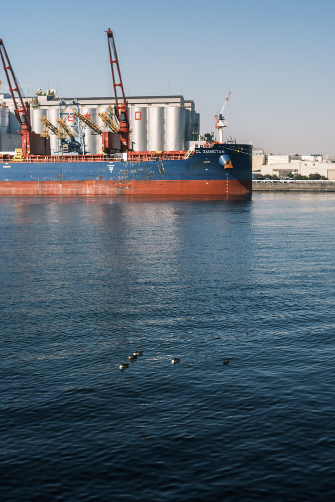 千葉ポートタワーの下の敷地から望む港