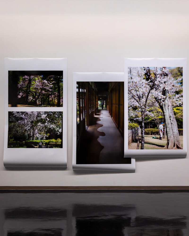 千葉県立美術館の展示で清水裕貴
