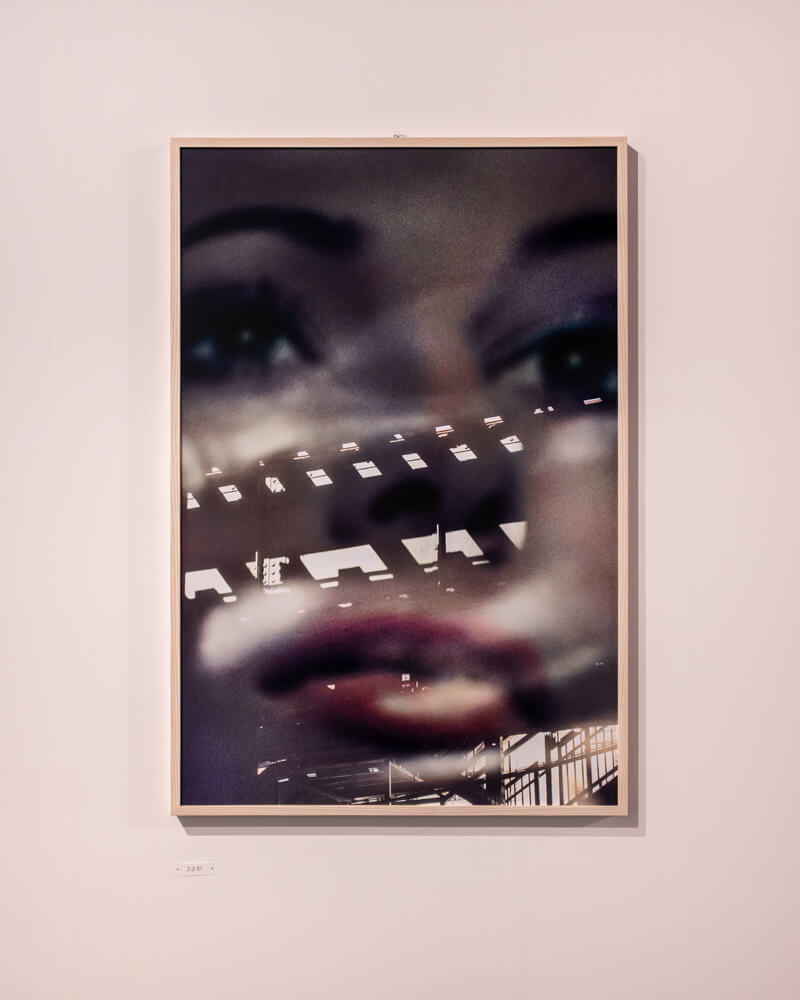 サラ・ファン・ライ&ダヴィット・ファン・デル・レーウ作品