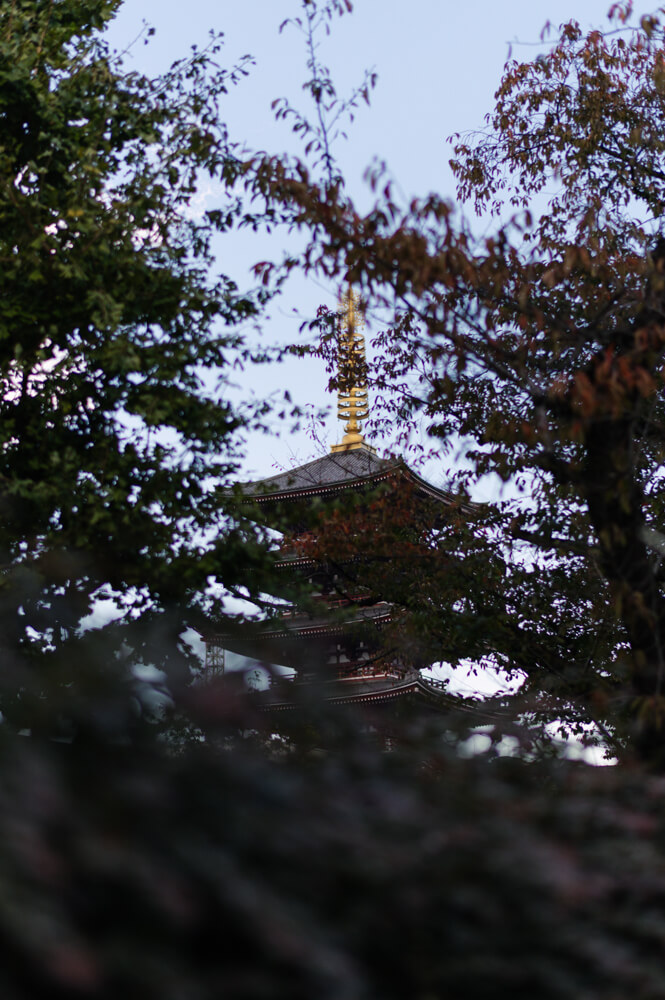 浅草寺の塔