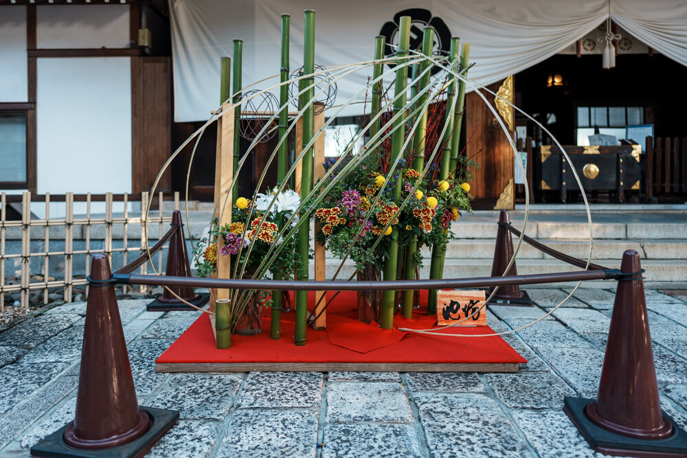 松陰神社での菊