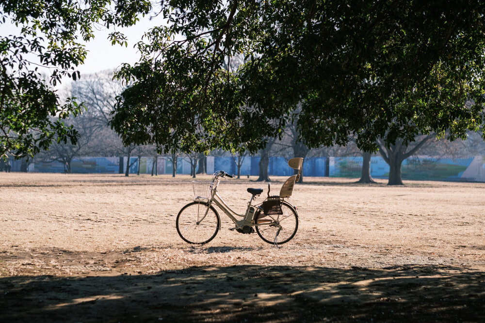公園に置かれた自転車