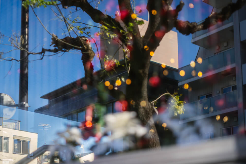 旧山手通り沿いのガラスウインドー