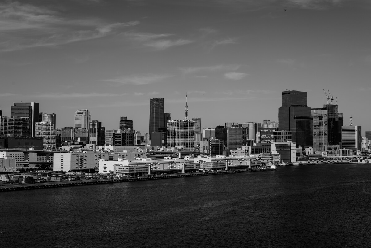 レインボーブリッジから望む東京湾