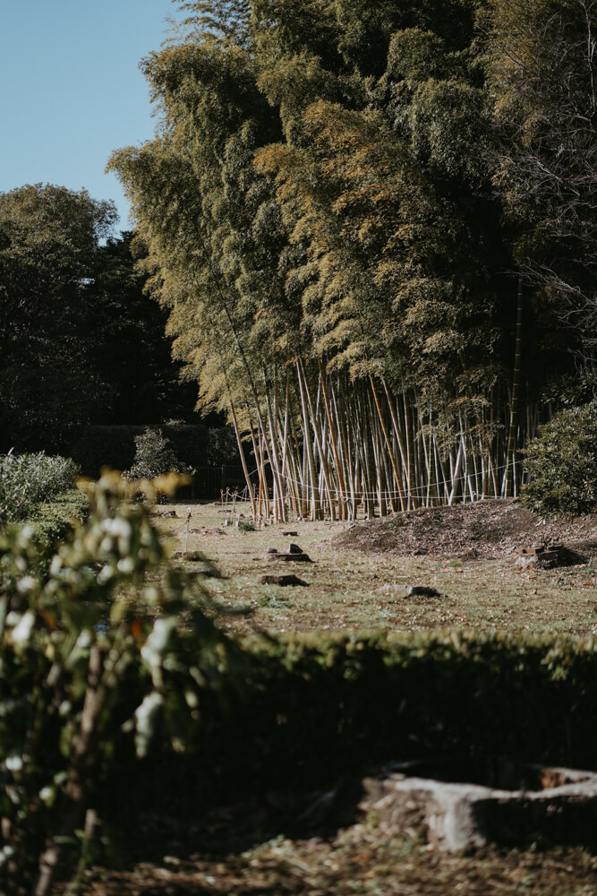 The Imperial Palace, Street Photography with SONY α7 IV & SONY FE 85mm f/1.8