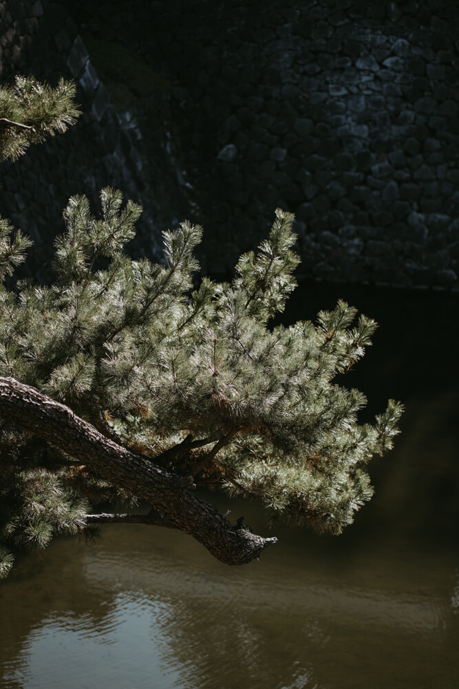 The Imperial Palace, Street Photography with SONY α7 IV & SONY FE 85mm f/1.8