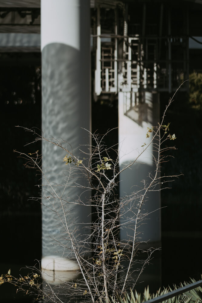 The Imperial Palace, Street Photography with SONY α7 IV & SONY FE 85mm f/1.8