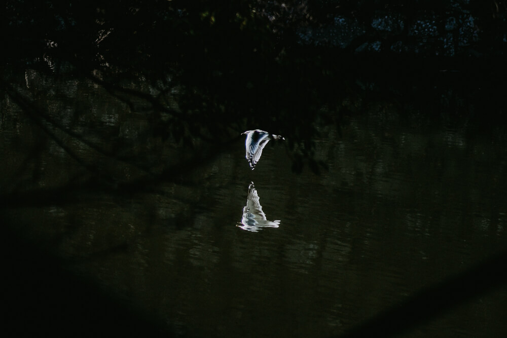 The Imperial Palace, Street Photography with SONY α7 IV & SONY FE 85mm f/1.8