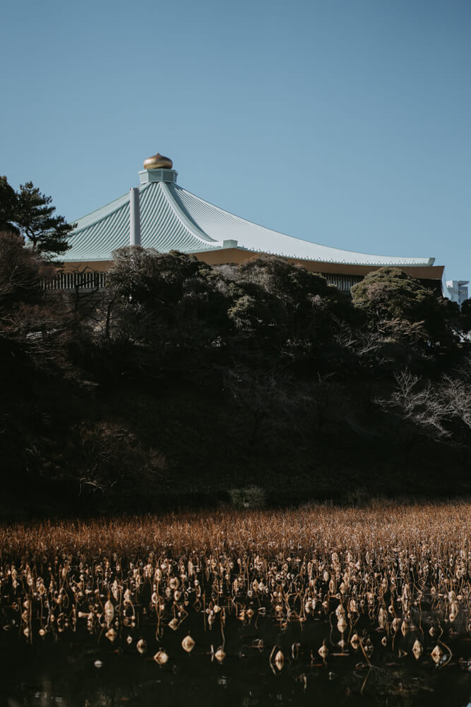 The Imperial Palace, Street Photography with SONY α7 IV & SONY FE 85mm f/1.8